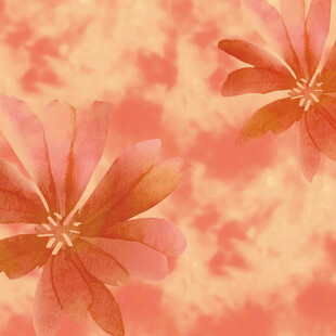 粉色花卉背景纹理图案