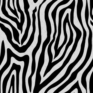 斑马纹图案纹理