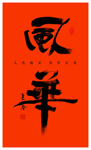 风华正茂设计体