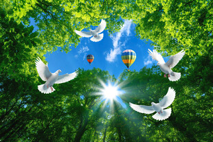 蓝天白云森林软膜吊顶