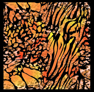 抽象艺术风格的斑斓图案