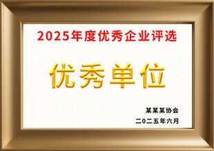 2025年度优秀单位奖牌