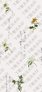 手绘植物花卉素材集合