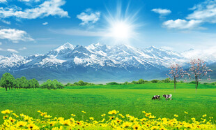 蓝天白云大草原