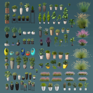 多样盆栽植物插画集合