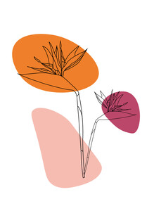 简约风植物插画矢量元素