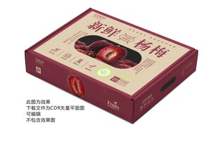 新鲜杨梅包装礼盒