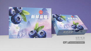 蓝莓包装