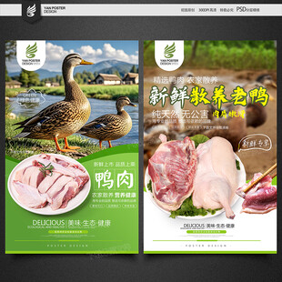 鸭肉