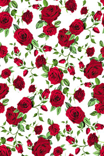 红色花卉图案无缝背景