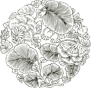 圆形花卉纹样黑白线稿图案