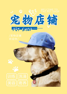 戴帽金毛的宠物店铺宣传