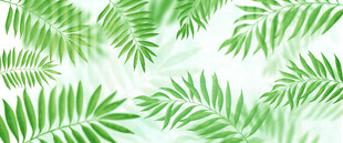 北欧植物玻璃背景墙