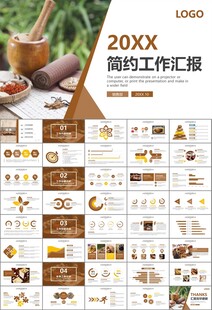 中医中药行业总结计划PPT