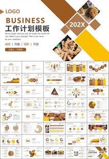 中医中药行业总结计划PPT