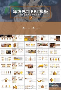 中医中药行业总结计划PPT