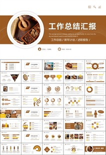 中医中药行业总结计划PPT