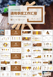 中医中药行业总结计划PPT