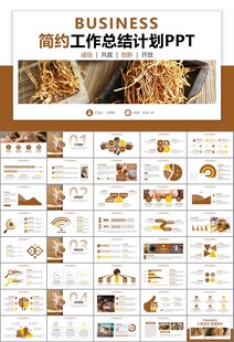 中医中药行业总结计划PPT