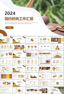 中医中药行业总结计划PPT