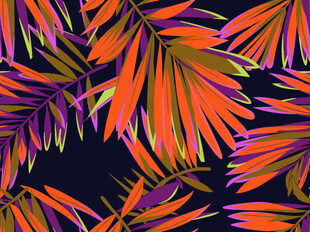 热带彩色棕榈叶图案背景