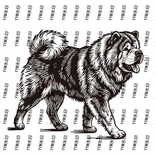 威武松狮犬黑白插画