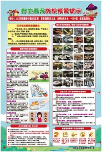 毒蘑菇防控