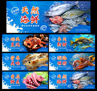 海鲜展板 