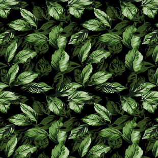 绿叶满布的自然纹理图案