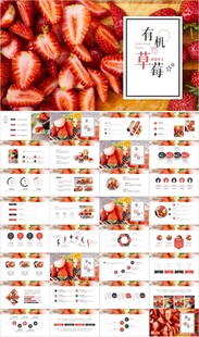 水果草莓园农产品种植基地PPT