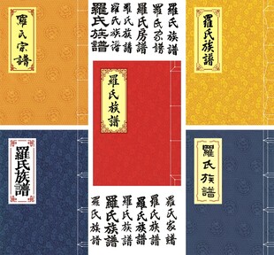 罗氏族谱封面古籍线装书