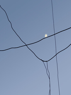 电线交错间的朦胧月亮