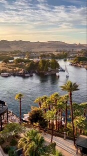 埃及湖畔棕榈美景