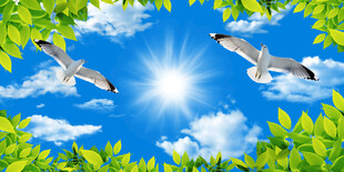 蓝天白云天花吊顶