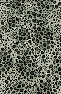 豹纹纹理图案