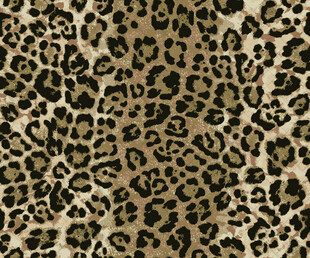 豹纹图案纹理背景图