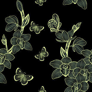 黑色背景上的花卉蝴蝶图案
