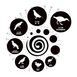 保护鸟类科普宣传