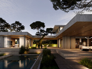 现代风格庭院别墅景观