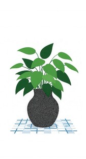 盆栽绿植置于网格上