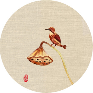 圆画中栖于残荷上的小鸟