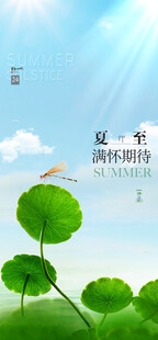 清新绿叶伴阳光风景图