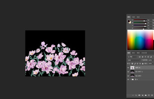 樱花图像设计编辑界面