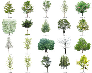 免扣高清景观树莲花植物花卉贴图