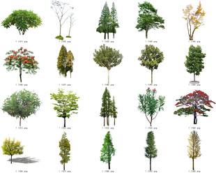 免扣高清景观树莲花植物花卉贴图