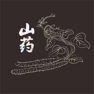 铁棍山药手绘图案