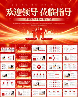 领导莅临指导汇报PPT模板