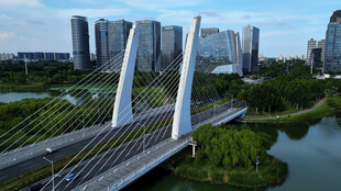 现代桥梁横跨绿水城市