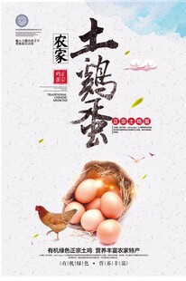农家散养土鸡蛋