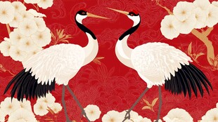 花鸟仙鹤背景素材-花鸟仙鹤背景图片-花鸟仙鹤背景设计模板-昵图网